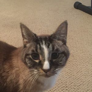 Meet your Posher, Nick